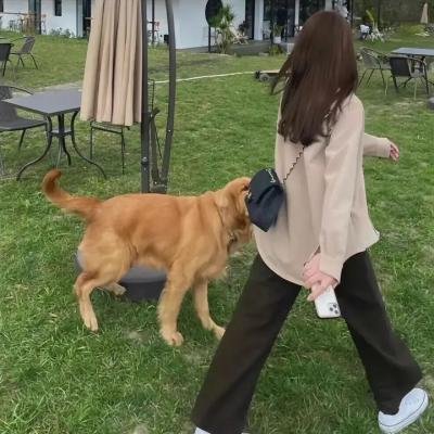 黑帆第三季